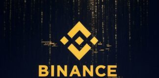 Binance’s Unrivaled Dominance in Stablecoin Reserves