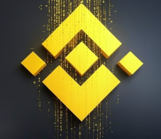 Market Neutrality Defines BNB Trading Within Critical Support Zones