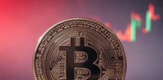 RECAP: Bitcoin’s Historic Peak and Subsequent Decline