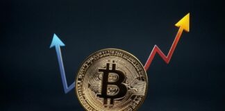 Key Insights on Bitcoin’s On-Chain Dynamics