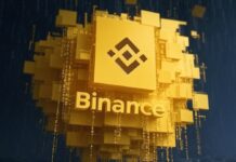 Macroeconomic Headwinds Push BNB Down as Crypto Market Fears Rise